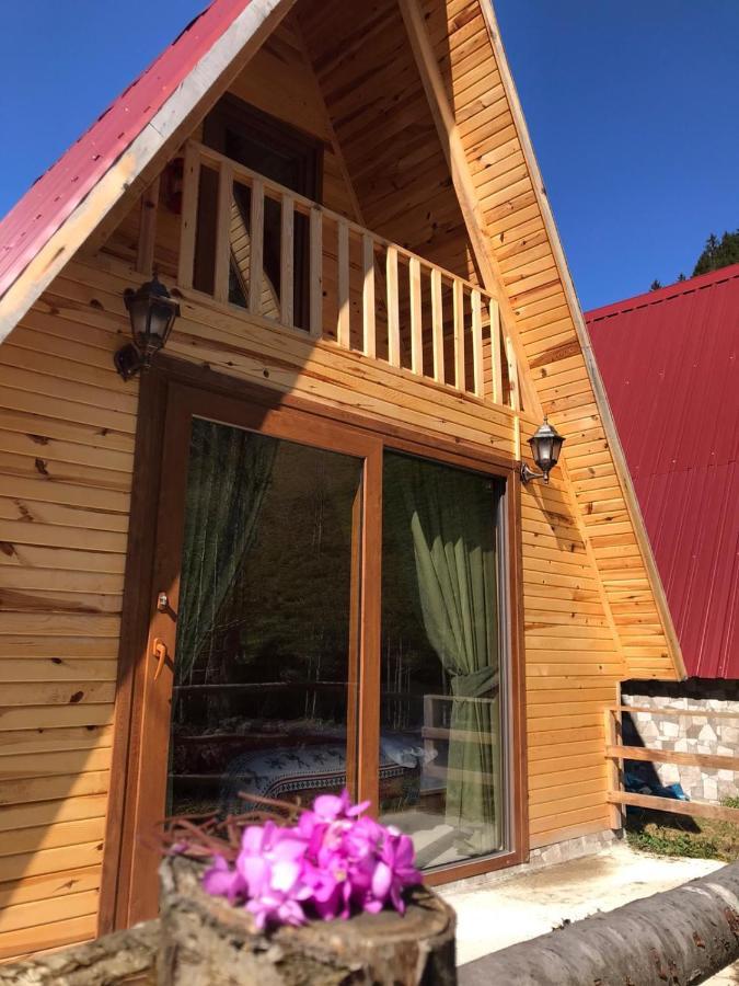 Foga Bungalov Çamlıhemşin Extérieur photo