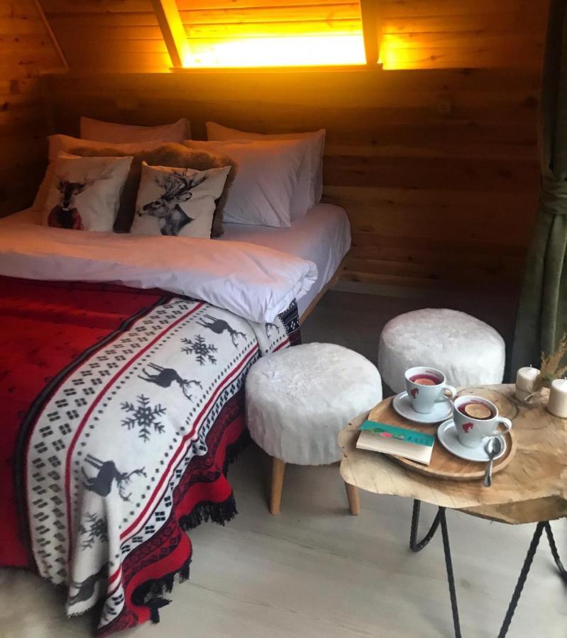 Foga Bungalov Çamlıhemşin Extérieur photo